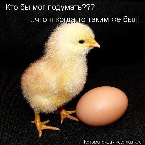 Кто бы мог подумать??? ...что я когда то таким же был!... Котоматрица: Кто бы мог подумать??? ...что я когда то таким же был!