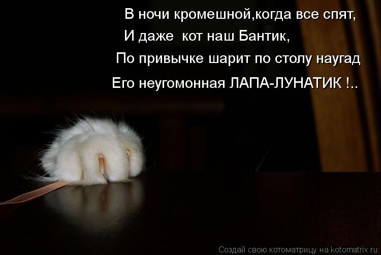 В ночи кромешной,когда все спят, И даже кот наш Бантик, По привычке шарит по столу наугад Его неугом... Котоматрица: В ночи кромешной,когда все спят, И даже кот наш Бантик, По привычке шарит по столу наугад Его неугомонная ЛАПА-ЛУНАТИК !..