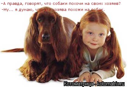 Котоматрица: -А правда, говорят, что собаки похочи на своих хозяев? -Ну... я думаю, что это хозява похожи на собак.