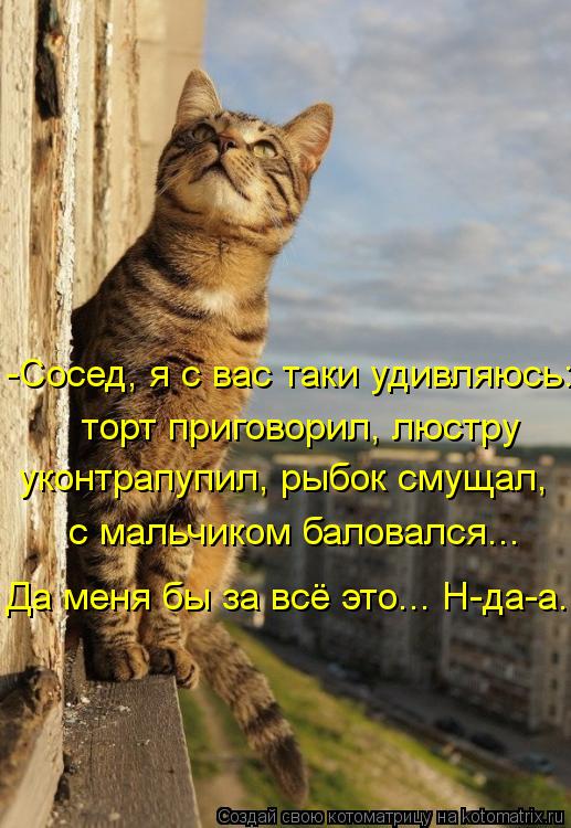 -Сосед, я с вас таки удивляюсь: торт приговорил, люстру уконтрапупил, рыбок смущал, с мальчиком бало... Котоматрица: -Сосед, я с вас таки удивляюсь: торт приговорил, люстру уконтрапупил, рыбок смущал, с мальчиком баловался... Да меня бы за всё это... Н-да-а...