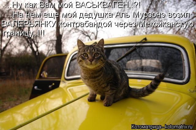 ...Ну как Вам мой ВАСЬКВАГЕН..?! ..На нем еще мой дедушка Аль Мурзонэ возил ВАЛЕРЬЯНКУ контрабандой ... Котоматрица: ...Ну как Вам мой ВАСЬКВАГЕН..?! ..На нем еще мой дедушка Аль Мурзонэ возил ВАЛЕРЬЯНКУ контрабандой через Мексиканскую границу..!!!