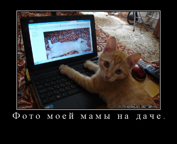 Фото моей мамы на даче. ... Котоматрица: Фото моей мамы на даче.