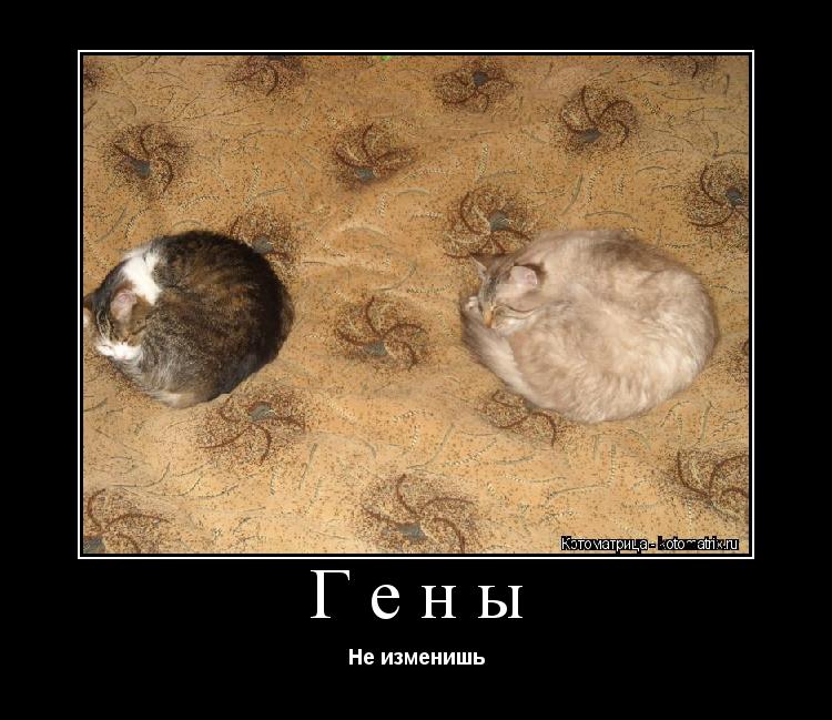 Гены Не изменишь... Котоматрица: Гены Не изменишь