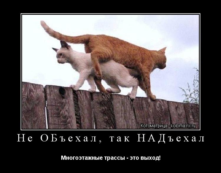 Не ОБъехал, так НАДъехал Многоэтажные трассы - это выход!... Котоматрица: Не ОБъехал, так НАДъехал Многоэтажные трассы - это выход!