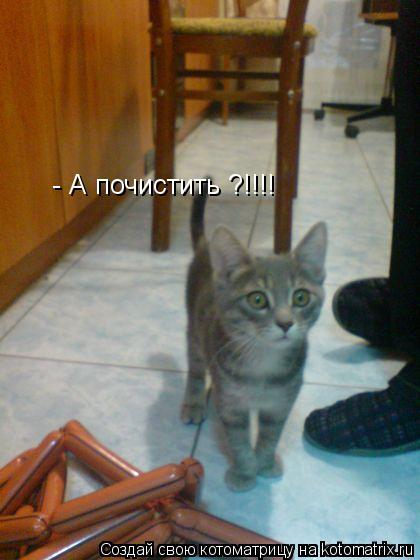 - А почистить ?!!!!... Котоматрица: - А почистить ?!!!!