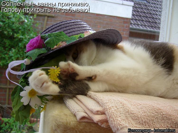 Котоматрица: Солнечные ванны принимаю, Голову прикрыть не забываю!