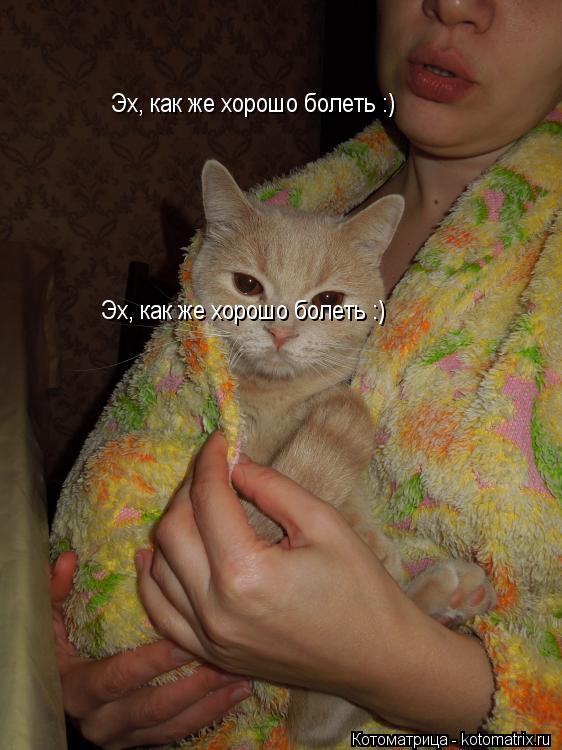 Эх, как же хорошо болеть :) Эх, как же хорошо болеть :)... Котоматрица: Эх, как же хорошо болеть :) Эх, как же хорошо болеть :)