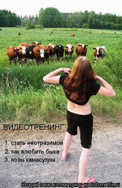 ВИДЕОТРЕНИНГ 2. как влюбить быка 1. стать неотразимой 3. позы камасутры... Котоматрица: ВИДЕОТРЕНИНГ 2. как влюбить быка 1. стать неотразимой 3. позы камасутры