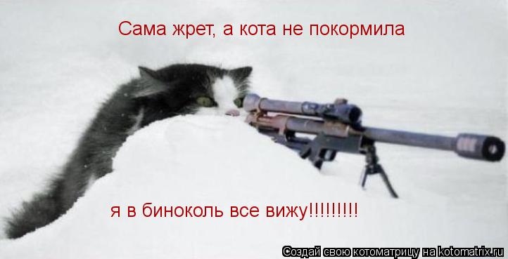 Сама жрет, а кота не покормила я в биноколь все вижу!!!!!!!!!... Котоматрица: Сама жрет, а кота не покормила я в биноколь все вижу!!!!!!!!!