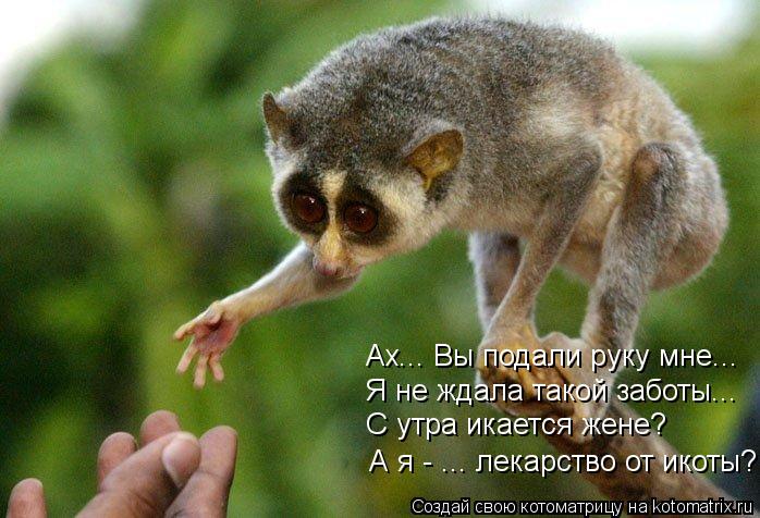 Котоматрица: Ах... Вы подали руку мне... Я не ждала такой заботы... С утра икается жене? А я - ... лекарство от икоты?