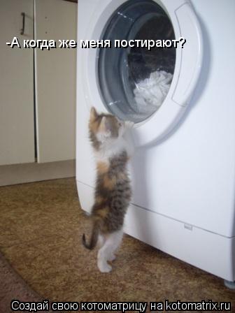 -А когда же меня постирают?... Котоматрица: -А когда же меня постирают?