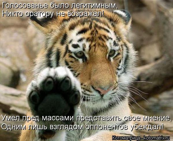 Голосованье было легитимным, Никто оратору не возражал! Умел пред массами представить свое мнение, Од... Котоматрица: Голосованье было легитимным, Никто оратору не возражал! Умел пред массами представить свое мнение, Одним лишь взглядом оппонентов убеждал!