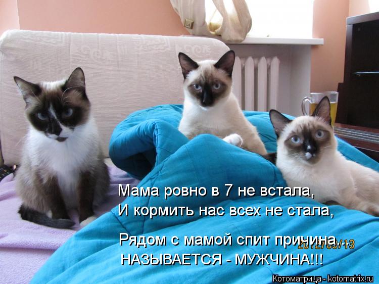 Котоматрица: Мама ровно в 7 не встала, И кормить нас всех не стала, НАЗЫВАЕТСЯ - МУЖЧИНА!!! Рядом с мамой спит причина...