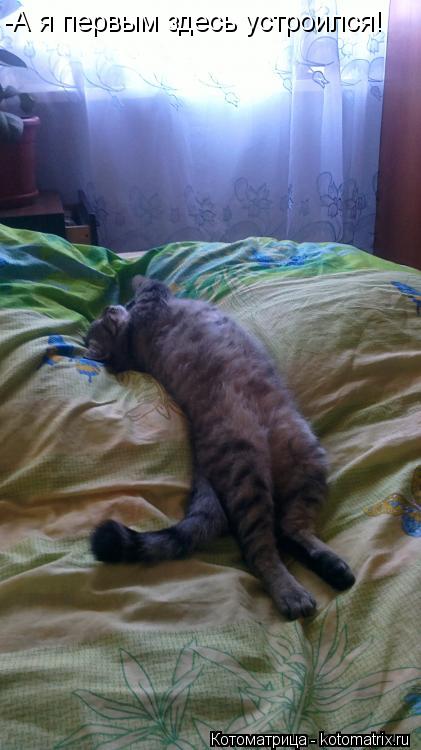 -А я первым здесь устроился!... Котоматрица: -А я первым здесь устроился!