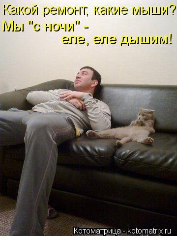 Какой ремонт, какие мыши? Мы "с ночи" - еле, еле дышим!... Котоматрица: Какой ремонт, какие мыши? Мы "с ночи" - еле, еле дышим!