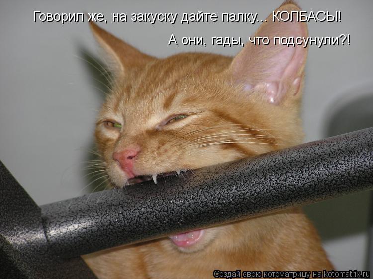 Говорил же, на закуску дайте палку... КОЛБАСЫ! А они, гады, что подсунули?!... Котоматрица: Говорил же, на закуску дайте палку... КОЛБАСЫ! А они, гады, что подсунули?!