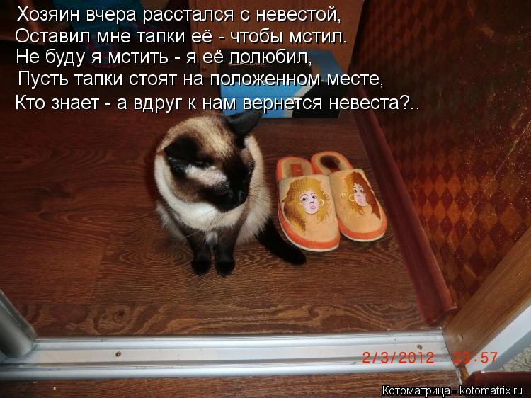 Хозяин вчера расстался с невестой, Оставил мне тапки её - чтобы мстил. Не буду я мстить - я её полюби... Котоматрица: Хозяин вчера расстался с невестой, Оставил мне тапки её - чтобы мстил. Не буду я мстить - я её полюбил, Пусть тапки стоят на положенном месте,