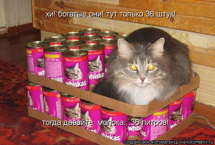 хи! богатые они! тут только 36 штук! тогда давайте молока...36 литров!... Котоматрица: хи! богатые они! тут только 36 штук! тогда давайте молока...36 литров!