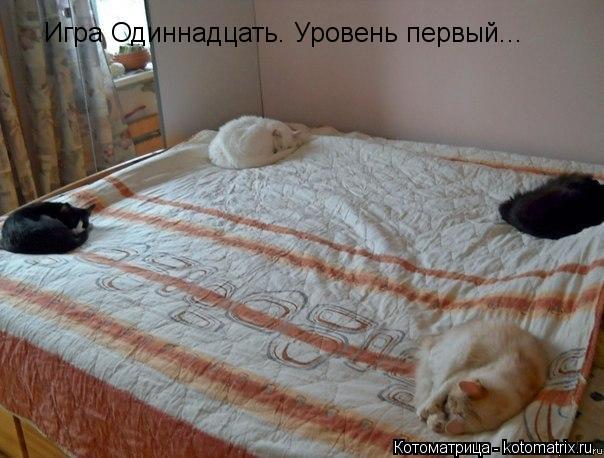 Игра Одиннадцать. Уровень первый...... Котоматрица: Игра Одиннадцать. Уровень первый...