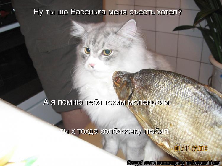 Котоматрица: Ну ты шо Васенька меня съесть хотел? А я помню тебя тохим моленьким ты х тохда холбасочку любил