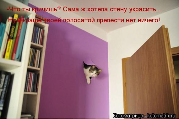 -Что ты кричишь? Сама ж хотела стену украсить... Ну,а краше твоей полосатой прелести нет ничего!... Котоматрица: -Что ты кричишь? Сама ж хотела стену украсить... Ну,а краше твоей полосатой прелести нет ничего!