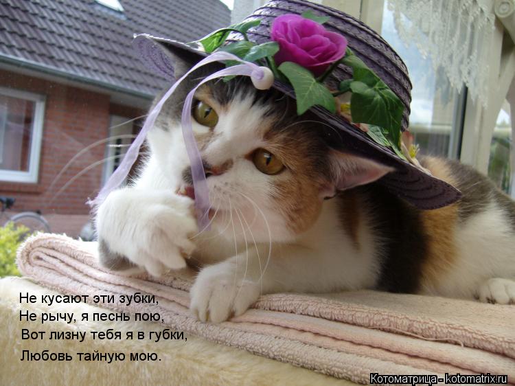 Не кусают эти зубки, Не рычу, я песнь пою, Вот лизну тебя я в губки, Любовь тайную мою.... Котоматрица: Не кусают эти зубки, Не рычу, я песнь пою, Вот лизну тебя я в губки, Любовь тайную мою.