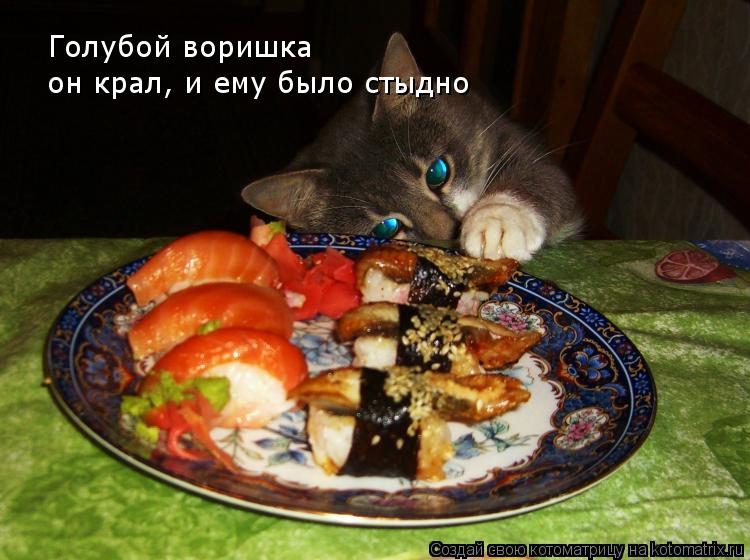 Голубой воришка он крал, и ему было стыдно... Котоматрица: Голубой воришка он крал, и ему было стыдно