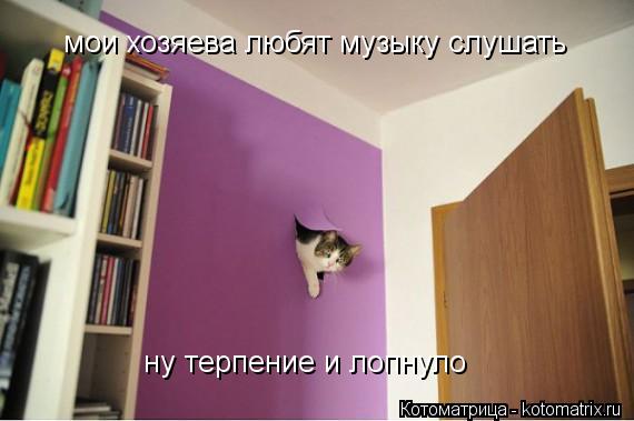 мои хозяева любят музыку слушать ну терпение и лопнуло... Котоматрица: мои хозяева любят музыку слушать ну терпение и лопнуло
