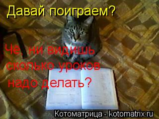 Давай поиграем? Чё, ни видишь сколько уроков надо делать?... Котоматрица: Давай поиграем? Чё, ни видишь сколько уроков надо делать?