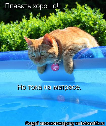 Котоматрица: Плавать хорошо! Но тока на матрасе.
