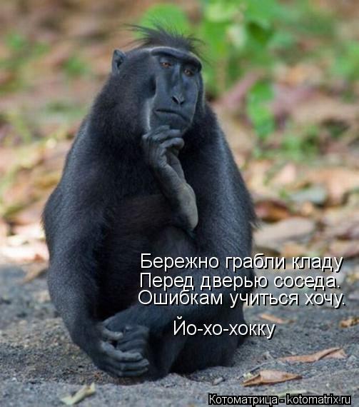 Бережно грабли кладу Перед дверью соседа. Ошибкам учиться хочу. Йо-хо-хокку... Котоматрица: Бережно грабли кладу Перед дверью соседа. Ошибкам учиться хочу. Йо-хо-хокку