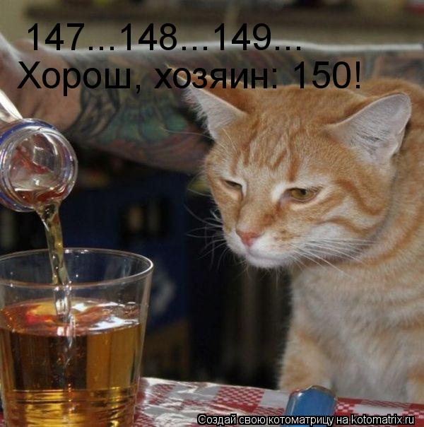 147...148...149... Хорош, хозяин: 150!... Котоматрица: 147...148...149... Хорош, хозяин: 150!
