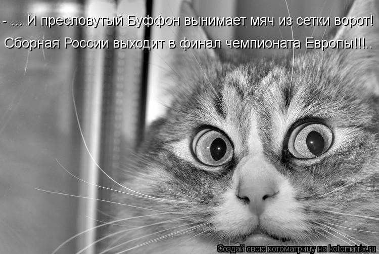 Котоматрица: - ... И пресловутый Буффон вынимает мяч из сетки ворот! Сборная России выходит в финал чемпионата Европы!!!..