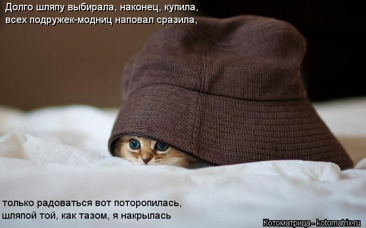 Долго шляпу выбирала, наконец, купила, всех подружек-модниц наповал сразила, только радоваться вот по... Котоматрица: Долго шляпу выбирала, наконец, купила, всех подружек-модниц наповал сразила, только радоваться вот поторопилась, шляпой той, как тазом, я на