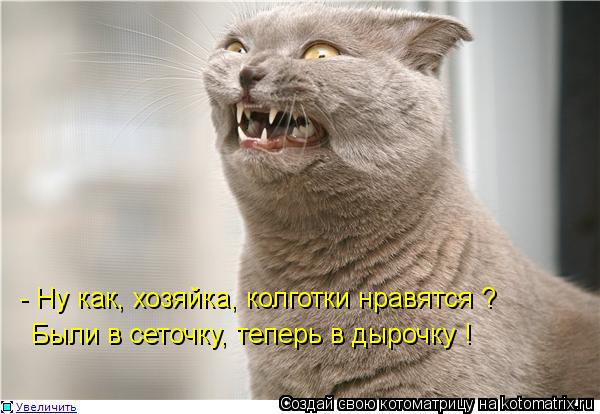 - Ну как, хозяйка, колготки нравятся ? Были в сеточку, теперь в дырочку !... Котоматрица: - Ну как, хозяйка, колготки нравятся ? Были в сеточку, теперь в дырочку !