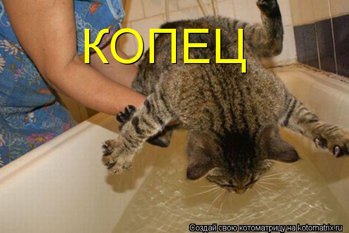КОПЕЦ... Котоматрица: КОПЕЦ