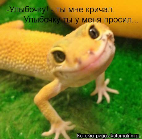 -Улыбочку! - ты мне кричал. Улыбочку ты у меня просил...... Котоматрица: -Улыбочку! - ты мне кричал. Улыбочку ты у меня просил...