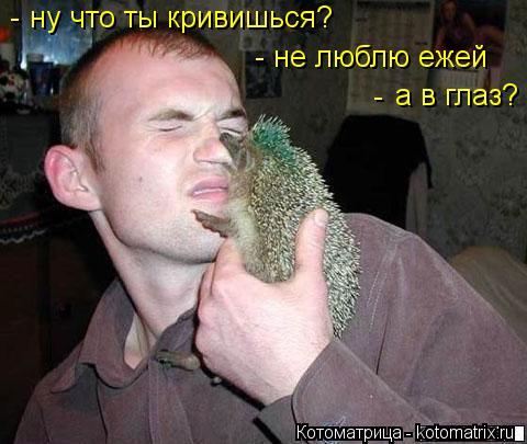 Котоматрица: ну что ты кривишься? - - не люблю ежей а в глаз? -