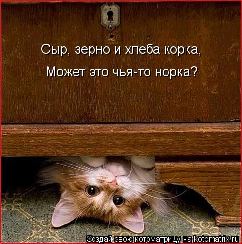 Сыр, зерно и хлеба корка, Может это чья-то норка?... Котоматрица: Сыр, зерно и хлеба корка, Может это чья-то норка?
