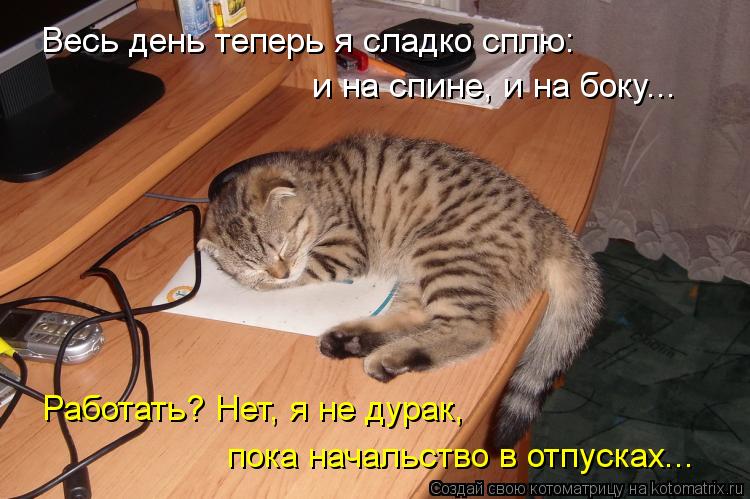 Котоматрица: Весь день теперь я сладко сплю: и на спине, и на боку... Работать? Нет, я не дурак, пока начальство в отпусках...