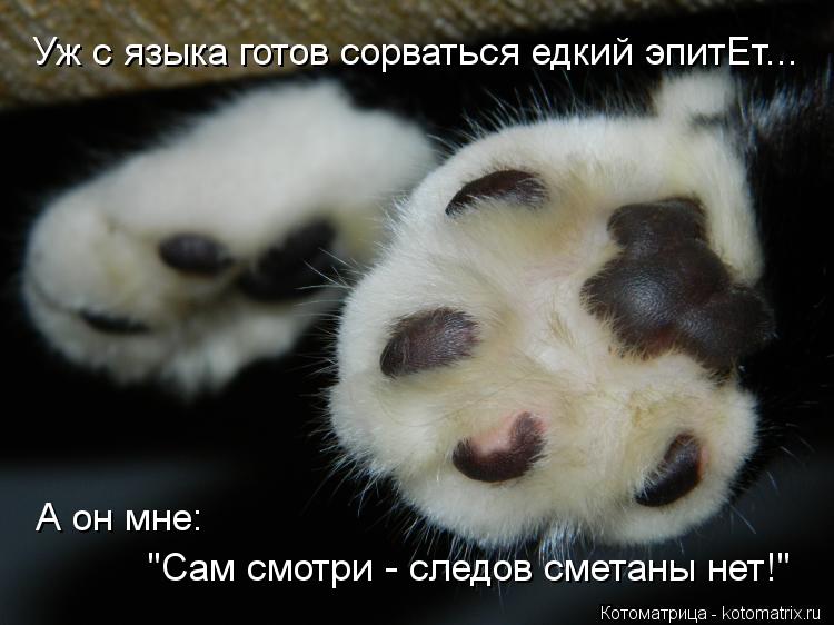 А он мне: "Сам смотри - следов сметаны нет!" Уж с языка готов сорваться едкий эпитЕт...... Котоматрица: А он мне: "Сам смотри - следов сметаны нет!" Уж с языка готов сорваться едкий эпитЕт...