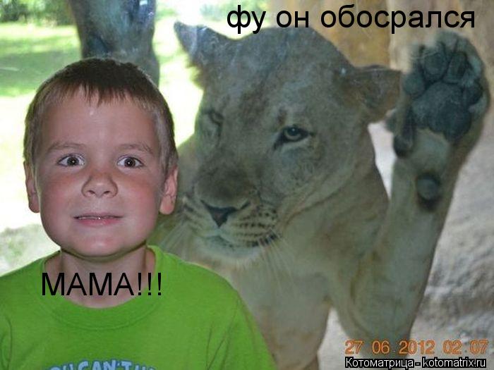 фу он обосрался МАМА!!!... Котоматрица: фу он обосрался МАМА!!!