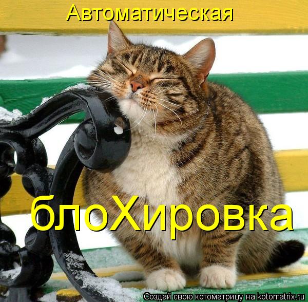 Автоматическая блоХировка... Котоматрица: Автоматическая блоХировка