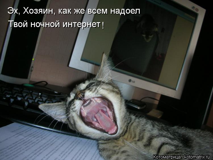 Эх, Хозяин, как же всем надоел Твой ночной интернет !... Котоматрица: Эх, Хозяин, как же всем надоел Твой ночной интернет !