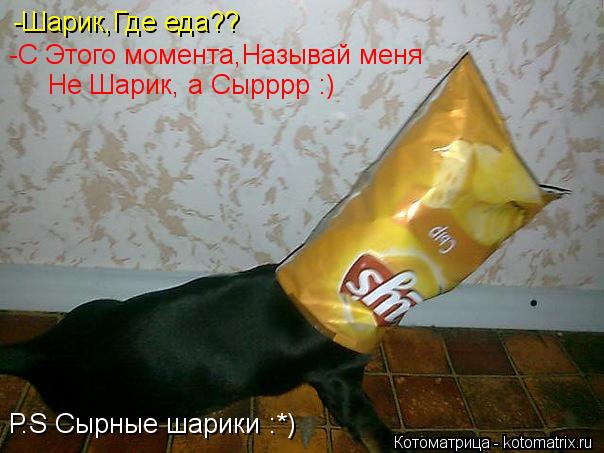 -Шарик,Где еда?? -С Этого момента,Называй меня Не Шарик, а Сырррр :) Р.S Сырные шарики :*)... Котоматрица: -Шарик,Где еда?? -С Этого момента,Называй меня Не Шарик, а Сырррр :) Р.S Сырные шарики :*)