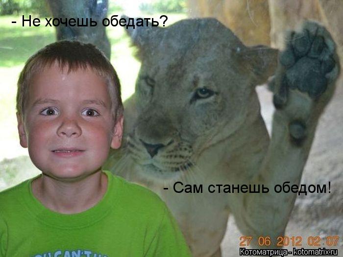 Котоматрица: - Не хочешь обедать? - Сам станешь обедом!