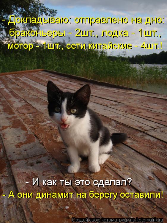 Котоматрица: - Докладываю: отправлено на дно: браконьеры - 2шт., лодка - 1шт., мотор - 1шт., сети китайские - 4шт.! - И как ты это сделал? - А они динамит на берегу о