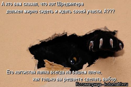 А кто вам сказал, что кот Шредингера должен мирно сидеть и ждать своей участи. А??? Его когтистая л... Котоматрица: А кто вам сказал, что кот Шредингера должен мирно сидеть и ждать своей участи. А??? Его когтистая лапка всегда на вашем плече, как только вы р