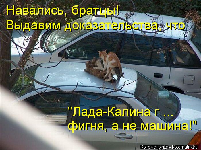 Котоматрица: Навались, братцы!  Выдавим доказательства, что "Лада-Калина г ...  фигня, а не машина!"