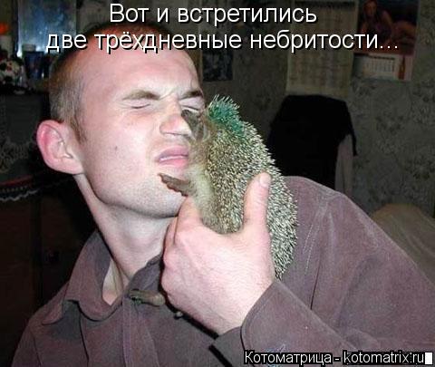 Котоматрица: Вот и встретились две трёхдневные небритости...